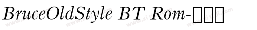 BruceOldStyle BT Rom字体转换